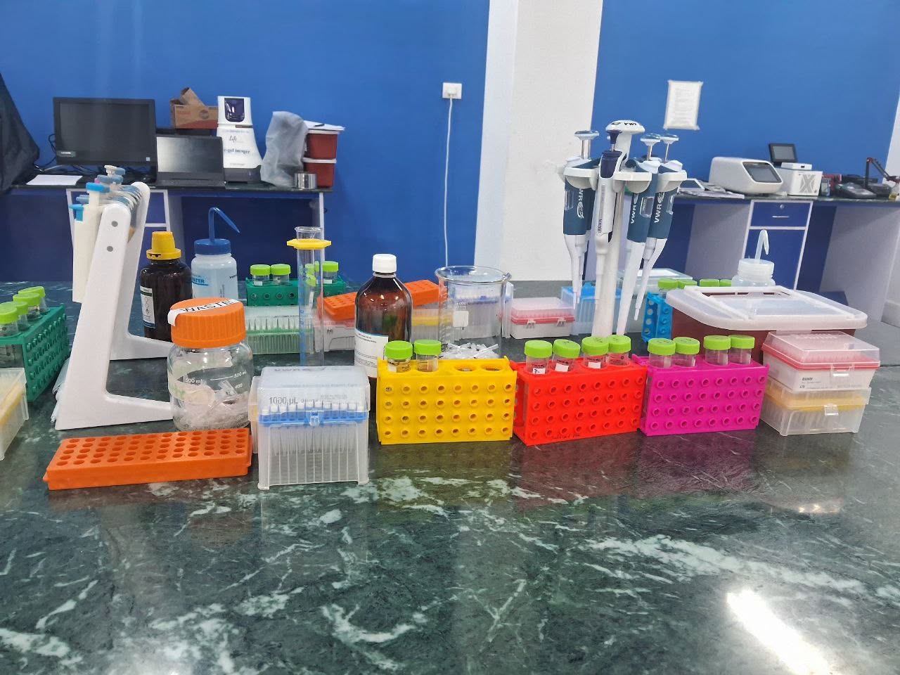 Home dna materials